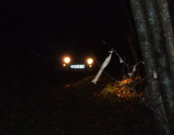 <b>Essai</b> nocturne